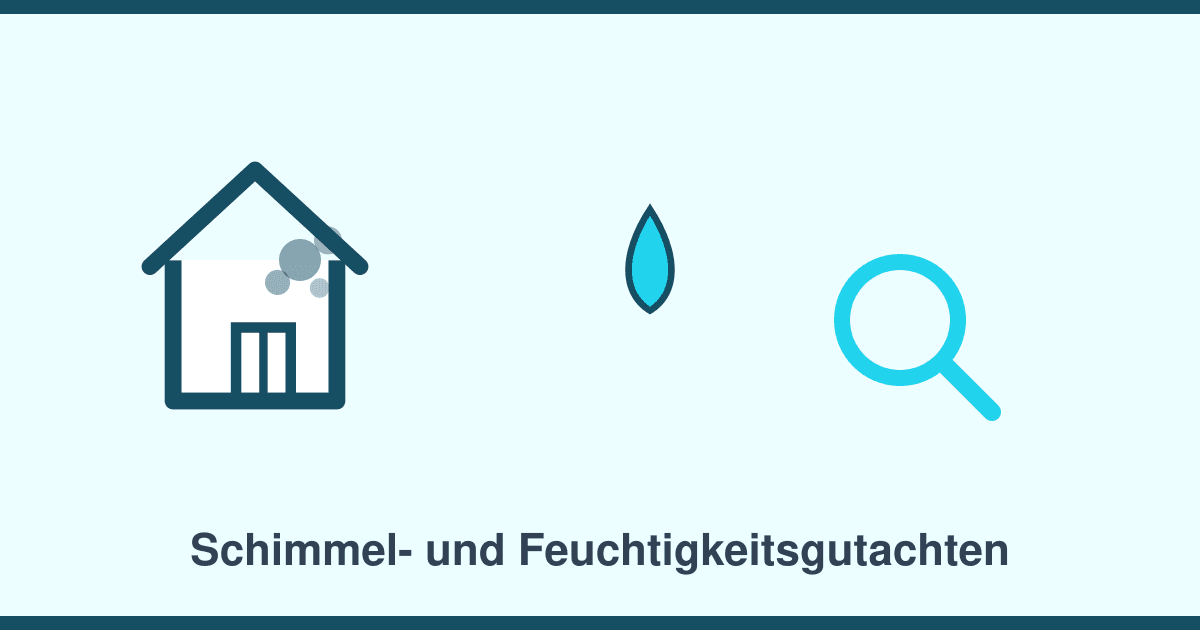 Schimmel und Feuchtigkeit im Haus: Wann ein Gutachten hilft — und wer die Kosten trägt