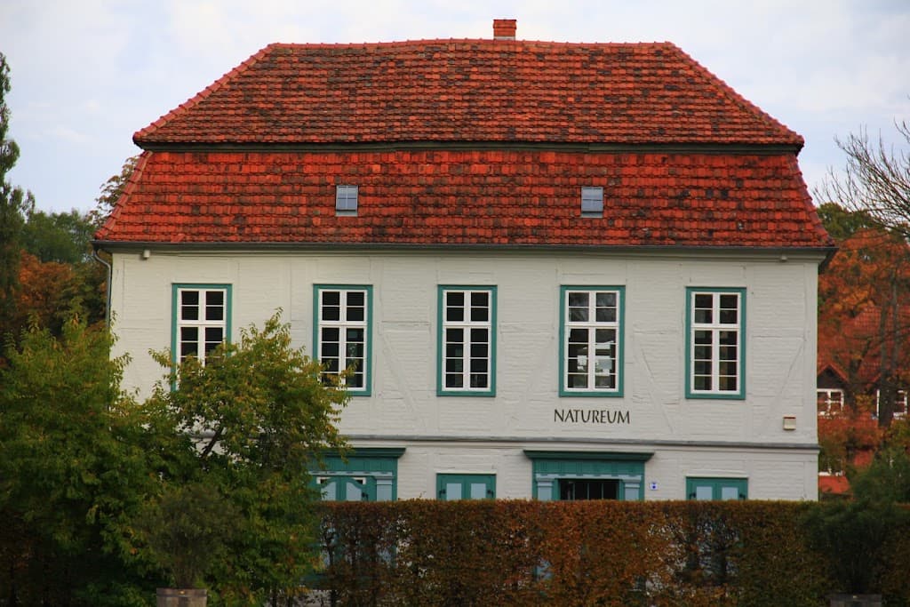 Immobilienbewertung Rüdiger Meier